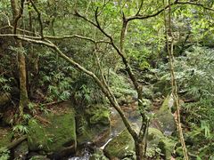 -海南热带雨林国家公园吊罗山景区