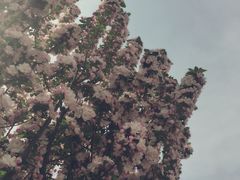 -贮水山儿童公园