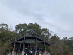 -天目湖山水园