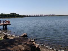-丁香湖公园