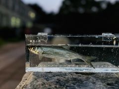 -北京展览馆