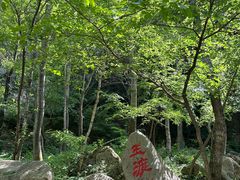 -玉渡山自然风景区