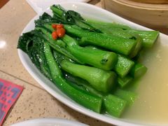 上汤富村菜心-点都德(大茶楼店)