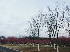 -江苏三台山国家森林公园