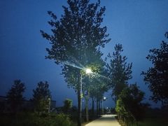 -九毛九西北菜(大东海店)