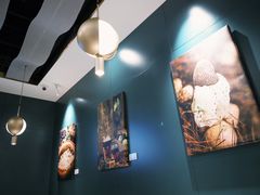 -烹然四季椰子鸡火锅(姚家园万象汇店)