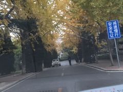 -蓝堡俱乐部