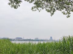 -宝界山林公园