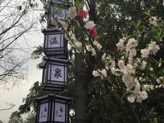 -天赐温泉