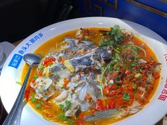 -坛宗剁椒鱼头(河西王府井店)