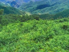 -灵山
