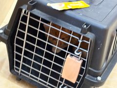 -宠颐生汉谟拉比宠物医院