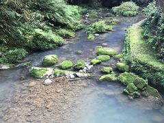 -武隆天坑地缝国家地质公园