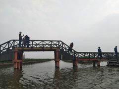 -溱湖国家湿地公园