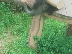 -沈阳森林动物园