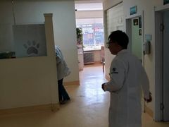 -瑞派宠物医院·24小时骨科·心脏·核磁(哈尔滨南岗店)