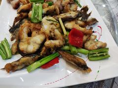 -有腥气私房菜·寻味顺德