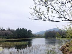 -长广溪湿地公园