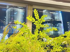 -柿合缘新京菜(国金中心商场店)