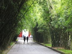 -望江楼公园