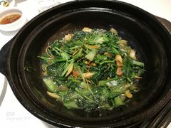 -金春禧(世茂国际广场店)