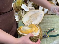 -PAGODA百果园(台柳路凯德广场店)