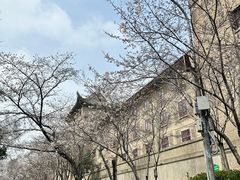 -武汉大学-樱园