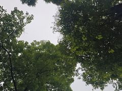 -三圣花乡旅游区