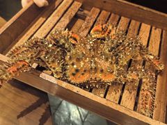 -余欢领鲜火锅(新街口店)