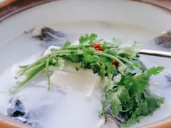-宝荣鱼馆·临湖之宴(千岛湖店)