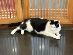 -龙华素斋(龙华路店)