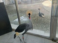 -哈尔滨北方森林动物园