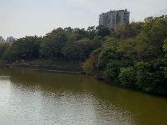 -深圳国际园林花卉博览园