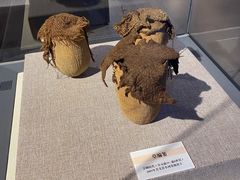 -巴音郭楞蒙古自治州博物馆