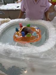 -禧月荟月子中心(前海Max店)