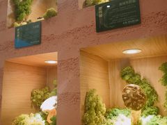 -雲說·花(西宸天街店)