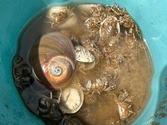 -秦皇岛秦皇国际大酒店