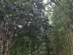 -虹之森·小馆