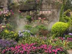 -深圳仙湖植物园-停车场
