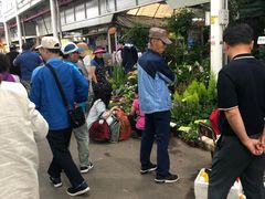 门面-济州五日民俗市场
