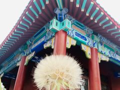 -纪晓岚文化园