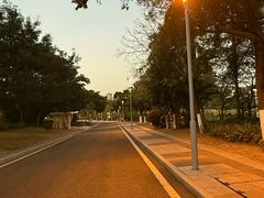 -东莞植物园