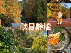 -云溪植物园