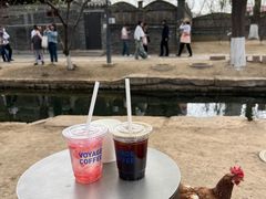 -春风习习
