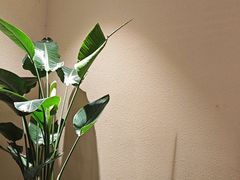 -吴家·淮扬小馆(世纪金源店)