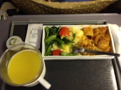 -新加坡航空公司(ION)