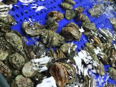 -福禧荟·海鲜自助