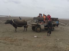 -小洋口旅游度假区