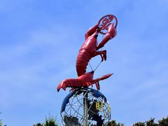 -红胖胖龙虾王·本地菜