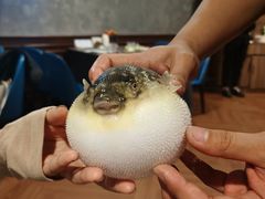 -肆月河豚·新淮扬(金融街店)